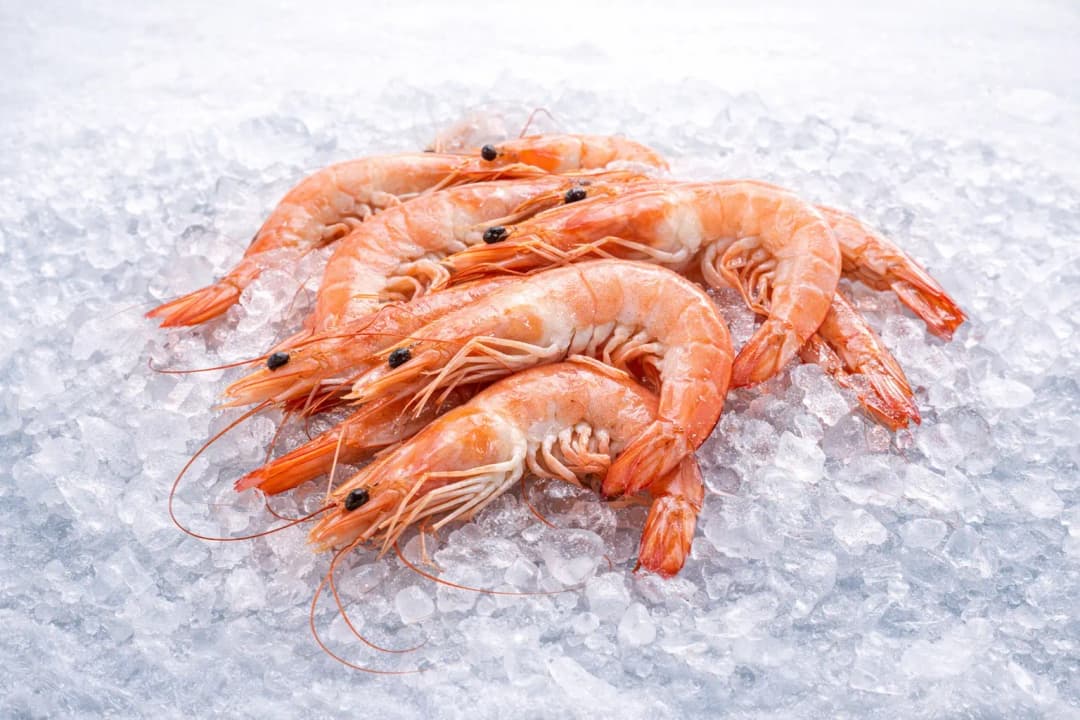 Fresh Shrimps